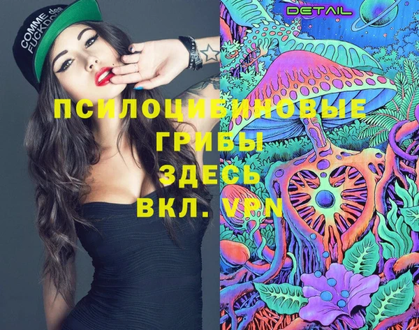стафф Михайловка