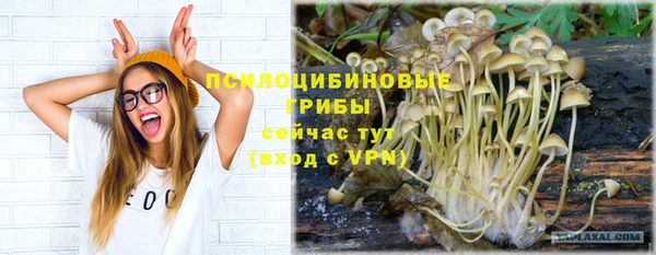стафф Михайловка