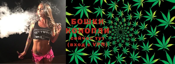 PSILOCYBIN Михайловск