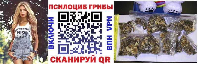 mega зеркало даркнет сайт дарк нет Telegram Псилоцибиновые грибы Magic Shrooms Нижнеудинск